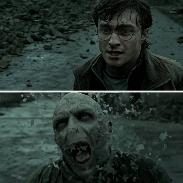 16. Harry Potter and the Deathly Hallows - Voldemort died via his skin flaking off.