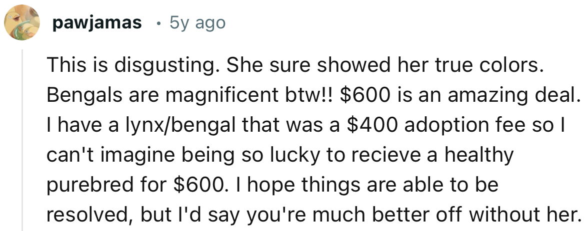 “This is disgusting. She sure showed her true colors. Bengals are magnificent, by the way! $600 is an amazing deal.”