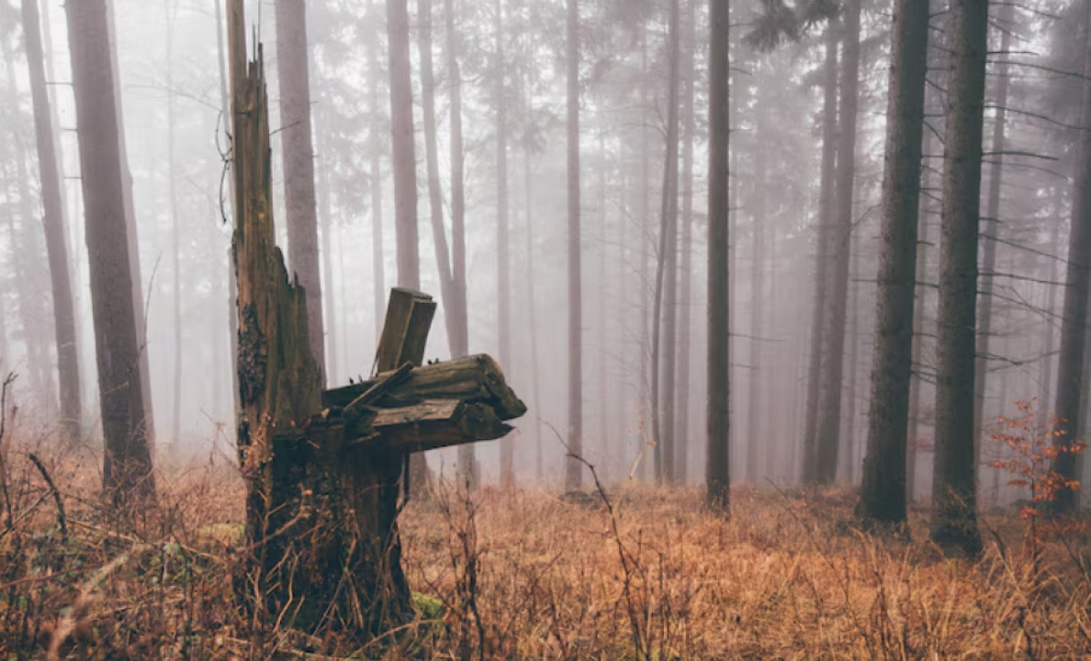 Haunted Places in South Dakota: Deadwood's Ghosts Won't Stay Buried