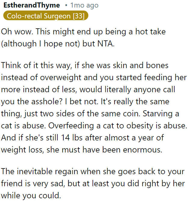 Helping the cat lose weight was the right thing to do, even though it might regain weight when it returns to its owner.