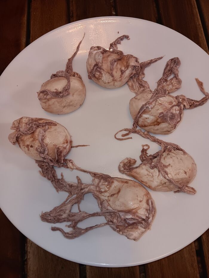 47. Balsamic Vinegar Is Not An Appropriate Substitute For Poached Eggs If You're Out Of White Vinegar