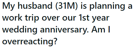 After an argument with her husband over their anniversary celebration, she sought advice from r/relationships.