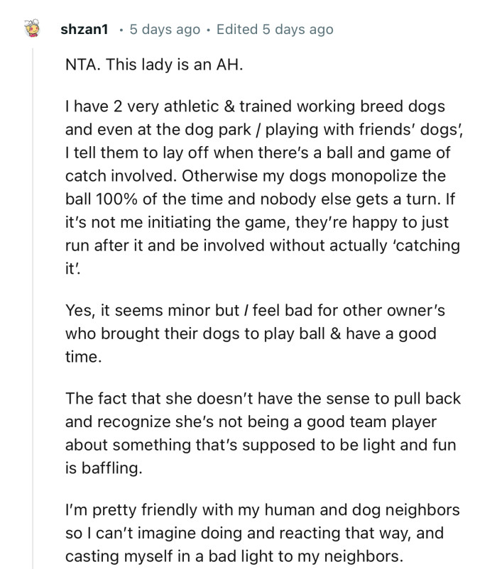 “Yes, it seems minor, but I feel bad for other owners who brought their dogs to play ball & have a good time.”