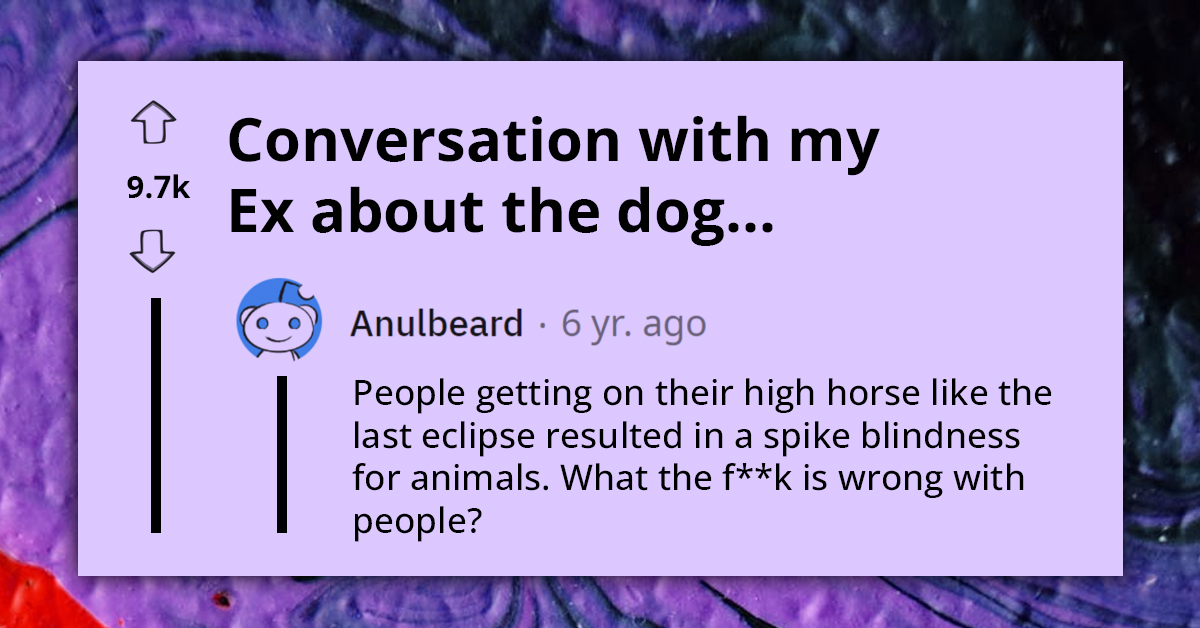 Person's Post About Conversation With Their Ex Warning Them Not to Allow Their Dog to See the Solar Eclipse