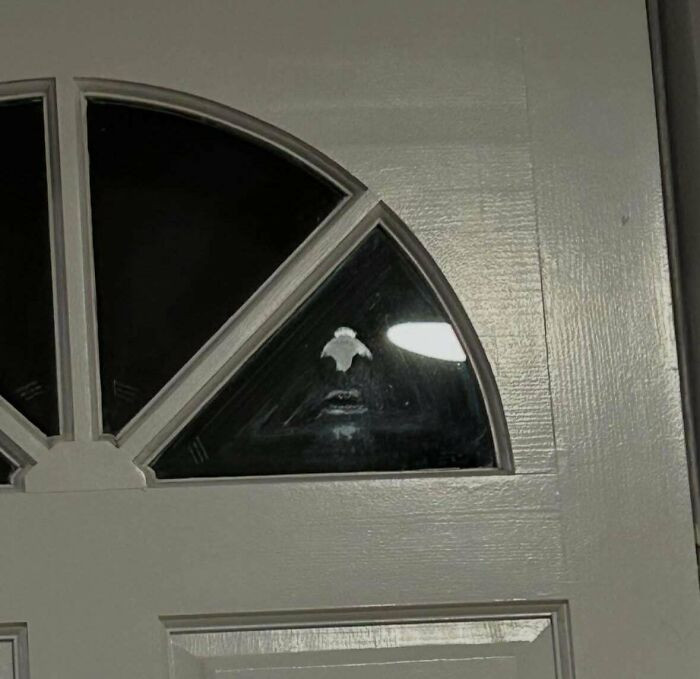 'This Was Fun To See On The Front Door Of My Airbnb'