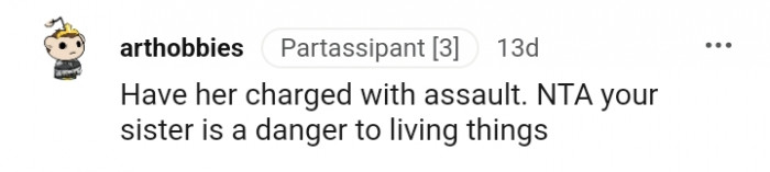 Have her charged with assault