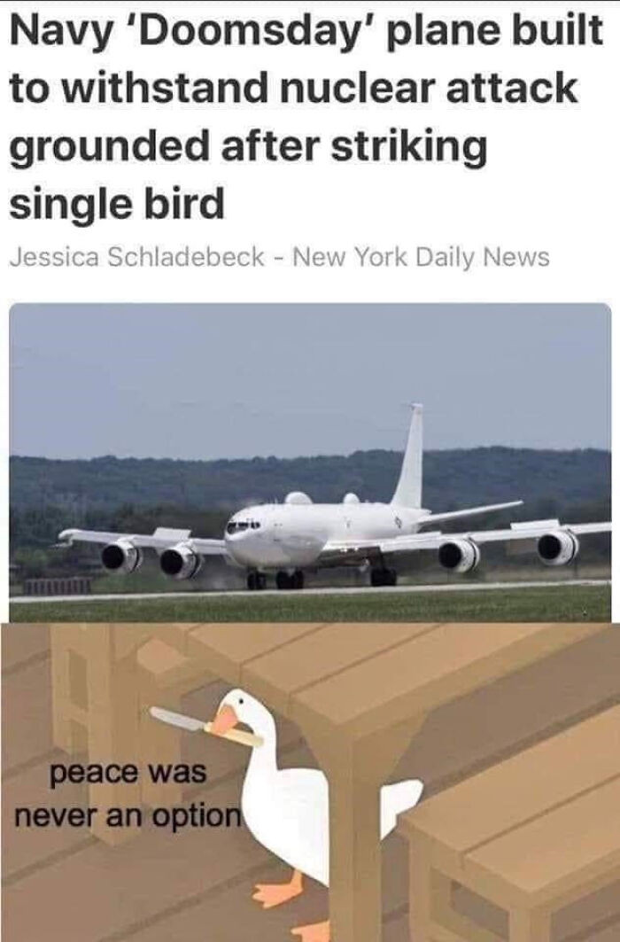 "What Bird Brain Designed This Trash?"