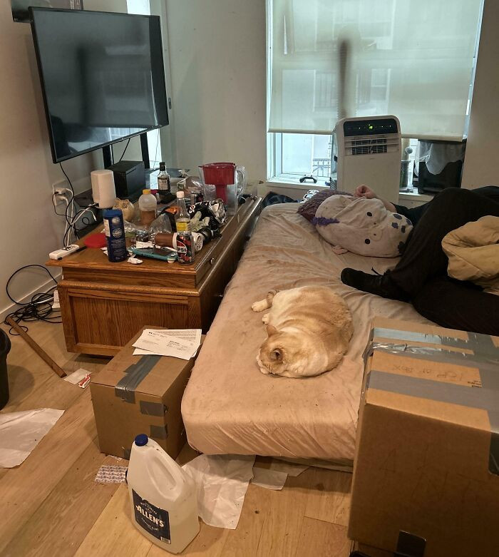 "I Showed Up To Help My (Supposed To Be) Roommate Move Into Our New Apartment"