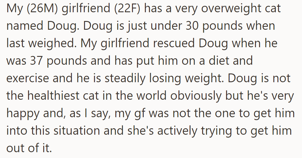 OP's girlfriend rescued an overweight cat, Doug, reducing his weight from 37 to under 30 pounds.
