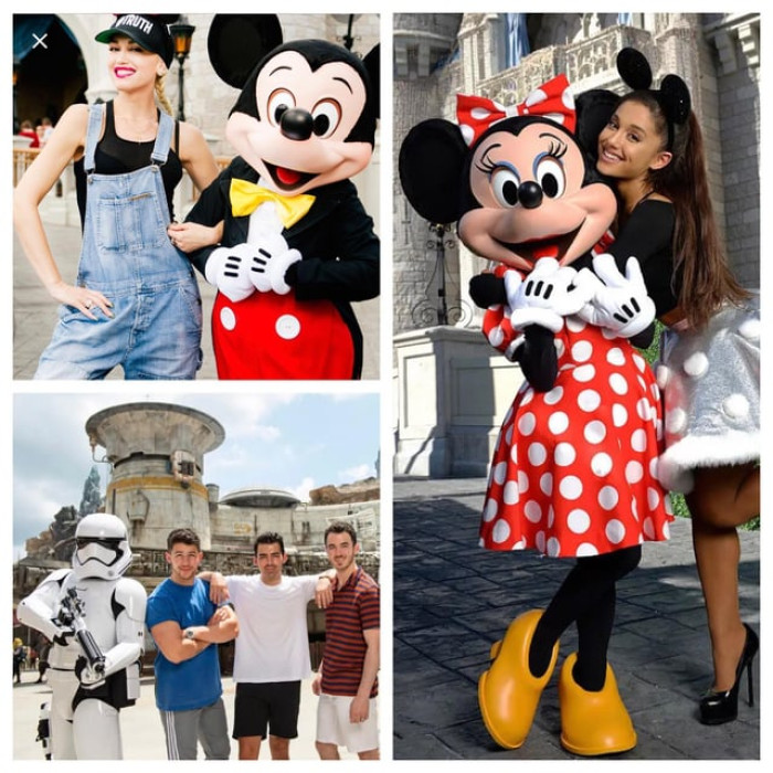 The Walt Disney World