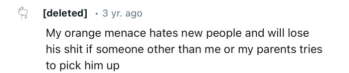 Some cats will go crazy if a stranger tries to pick them up