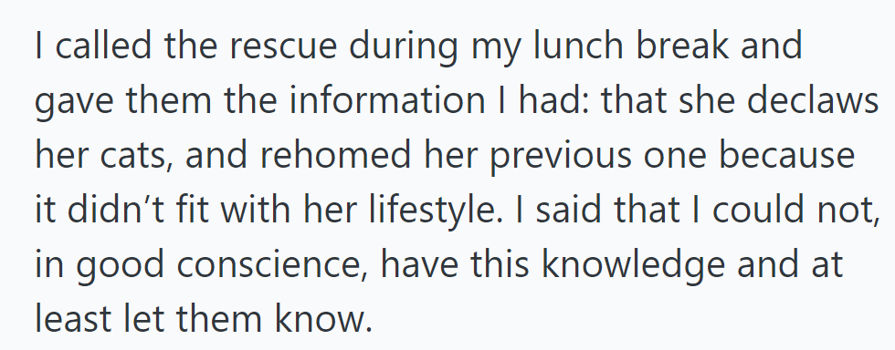 During lunch, OP called the rescue, revealing Kylie's cat declawing and rehoming due to lifestyle mismatch, unable to stay silent.