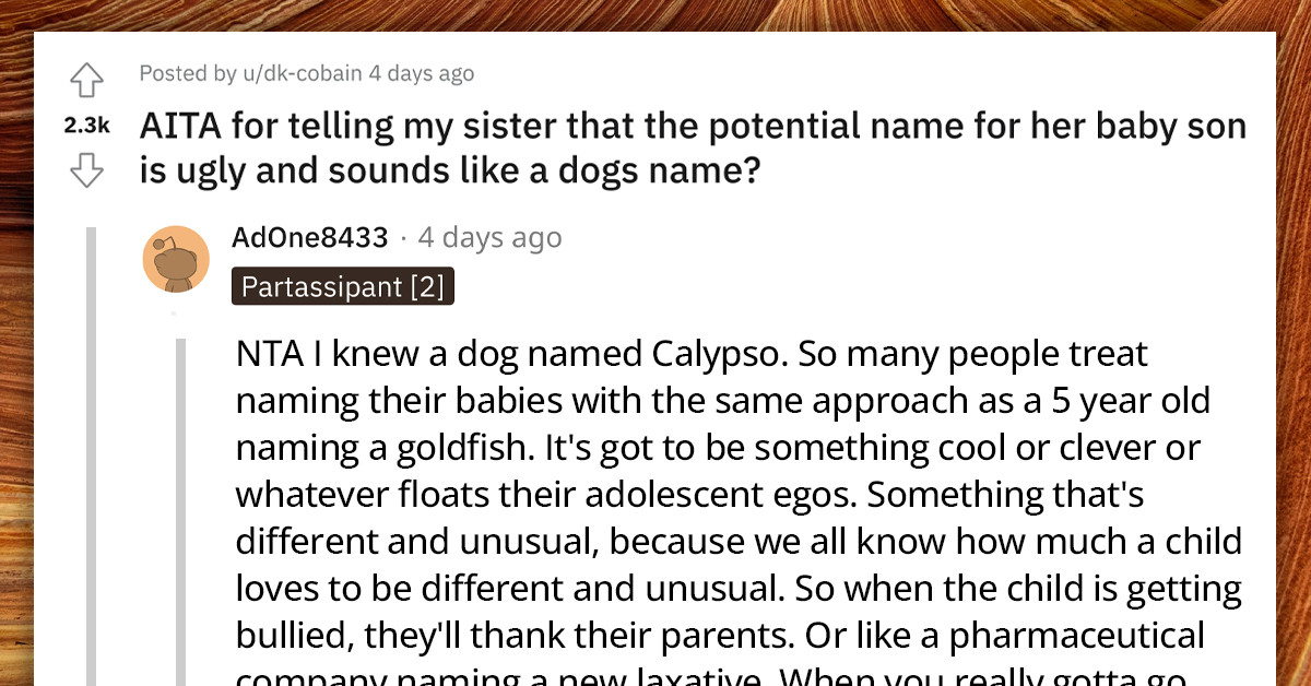 Redditor Called Rude After Telling Her Sister That Her Baby's Potential Name “Sounds Like A Dog's Name”