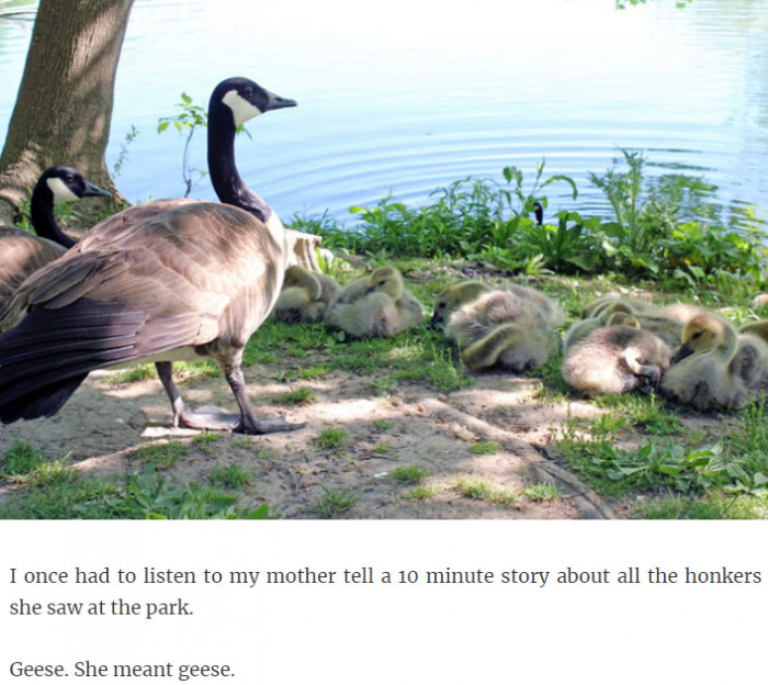 16. That goose is a honker