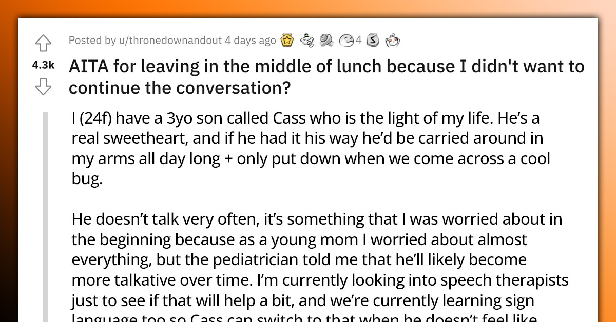 Annoyed Mother Leaves Family Lunch After Her Family Started Criticizing Her 3Y.O. Son's Lack Of Speech
