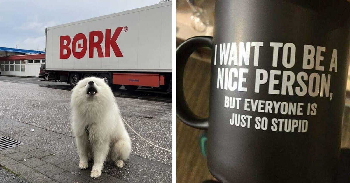 45 Funny Random Pictures To Brighten Your Afternoon