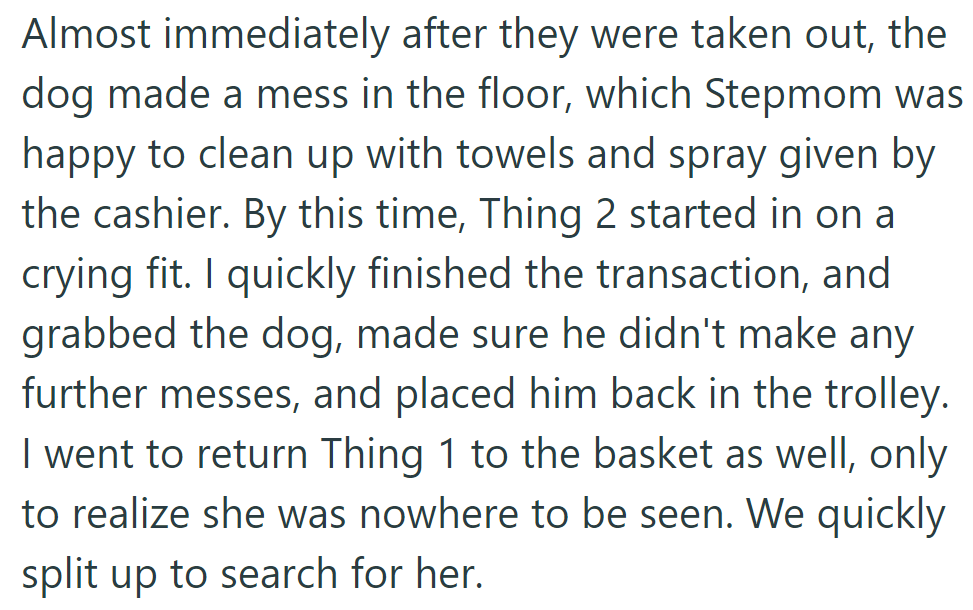 The dog made a mess; Stepmom cleaned it up, but Thing 2 cried. OP paid, managed the dog, and found Thing 1 missing.