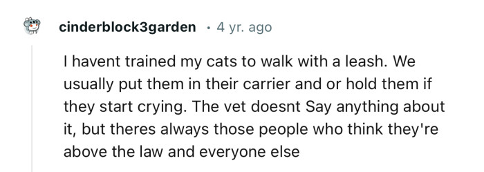 “The vet doesn't say anything about it, but there are always those people who think they're above the law and everyone else.”