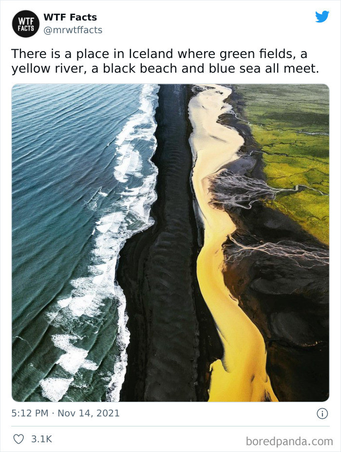 12. And it is indeed a beautiful sight