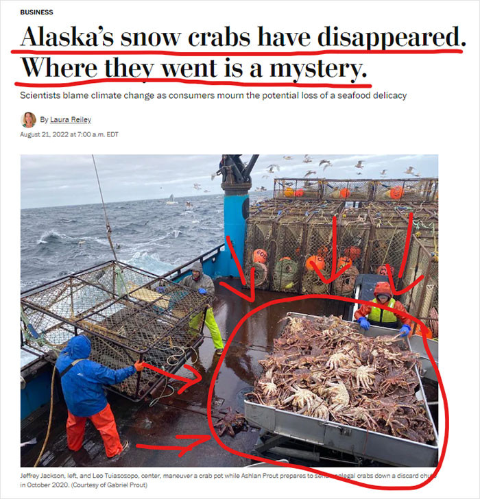 27. Where did Alaska's snow crabs go?