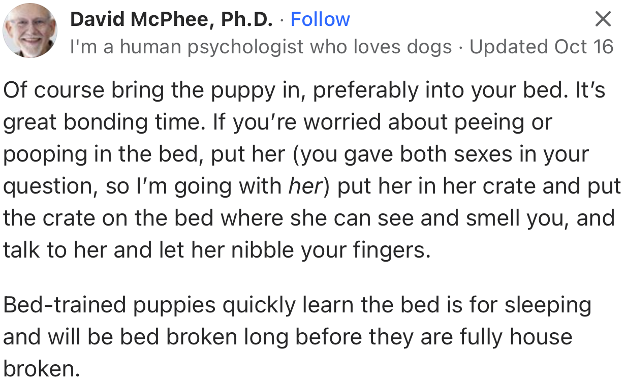 Sleeping with your dog on the same bed can be a great way to bond