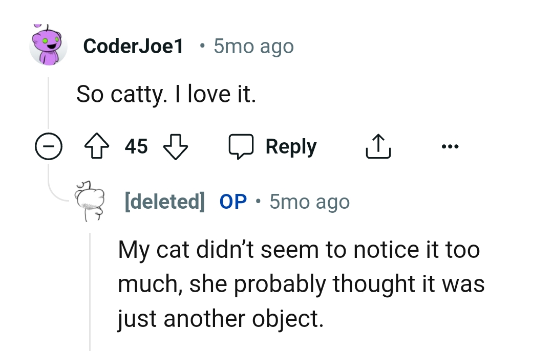 OP's cat didn't seem to notice