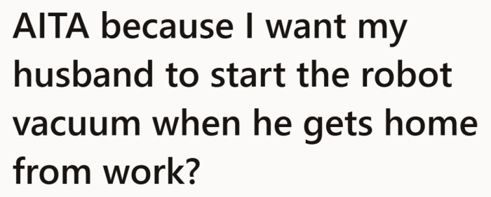 At first glance, the problem sounds minor. She just wants her husband to start the robot vacuum after work.