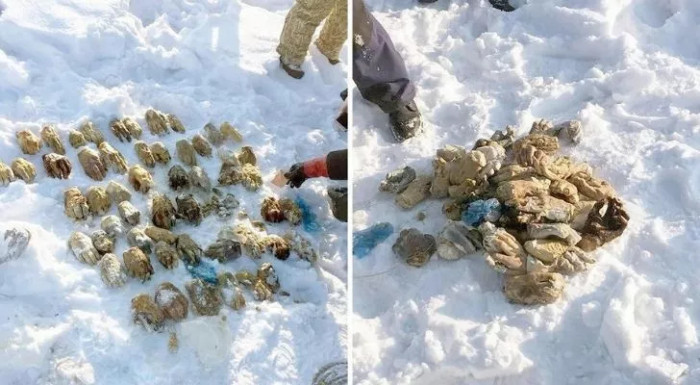 A bag of human hands