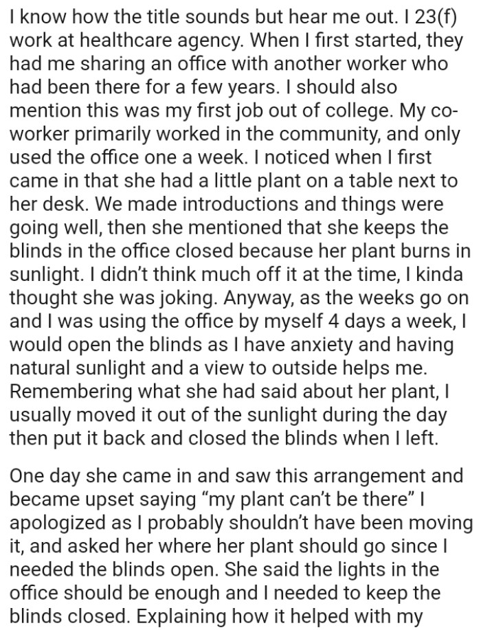 She mentioned that she keeps the blinds in the office closed because her plant burns in sunlight