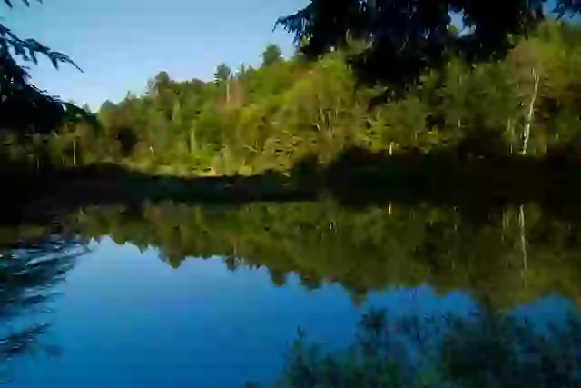 Maria was pulled beneath the surface.