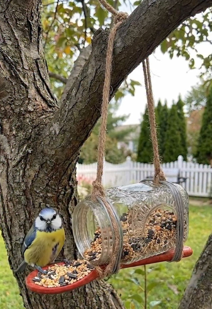 "Make A DIY Bird Feeder From A Glass Jar And Give Backyard Birds A Charming Place To Stop For A Snack"