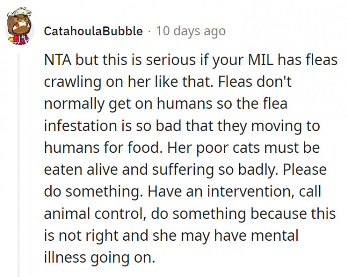 3. If fleas are crawling all over MIL, the problem might be more serious than it looks