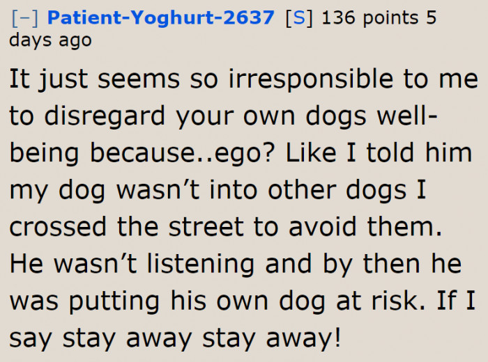 People should always respect the space of a dog.