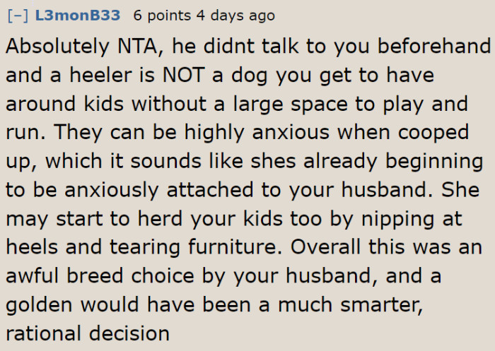 This dog will have behavior problems if they keep it longer.