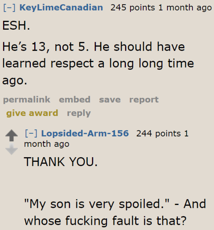 A few users think that it's also the OP's fault that her son is this spoiled.