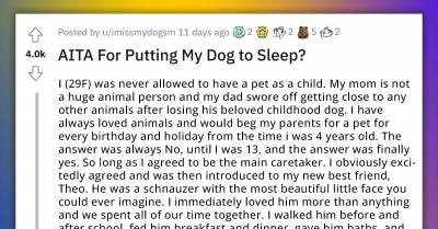 Dog Owner Accused Of Abandoning Dog When He Needed Her The Most After Putting Him Down To End His Suffering