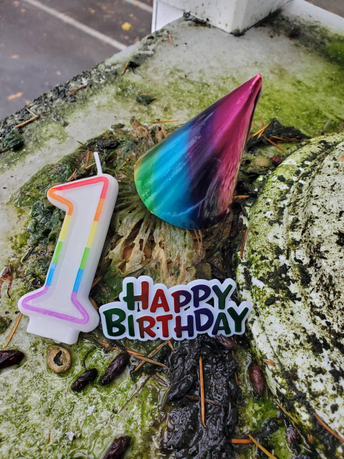 You are gross, but you deserve to be celebrated for withstanding the elements!