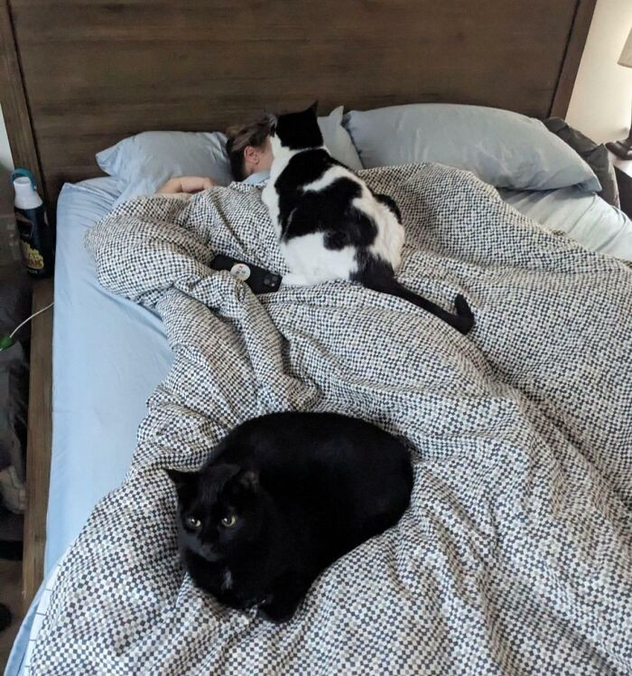 "My Wife Trying To Sleep In On A Saturday Morning"