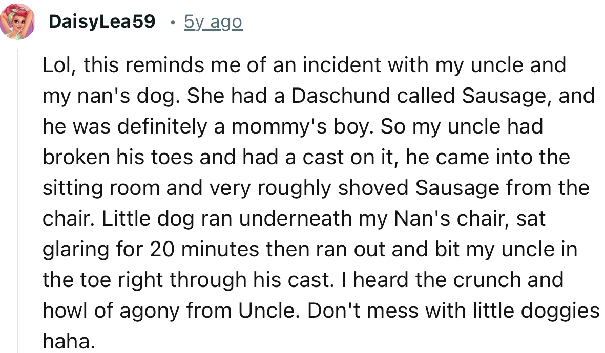This Redditor has an interesting story to tell. This time, between their uncle and nan’s dog