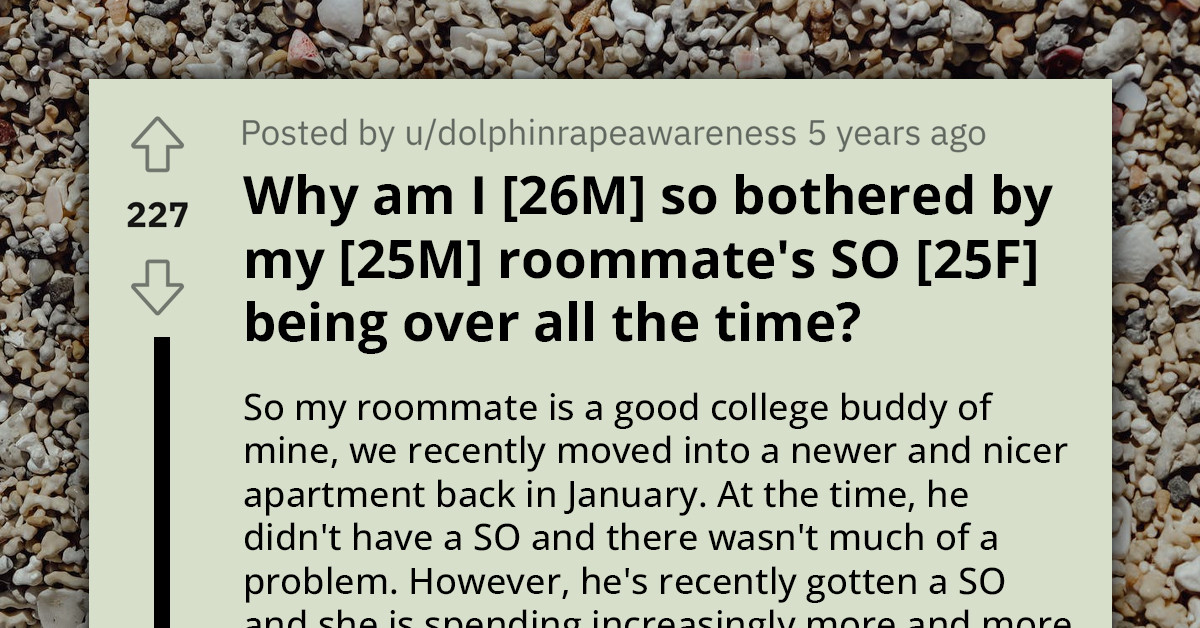 Redditor Shares Frustration Over The Constant Presence Of Roommate's Girlfriend In Their Shared Apartment