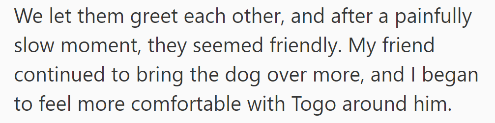 After a cautious introduction, the dogs became friendly, and he grew comfortable with Togo around his friend's dog.