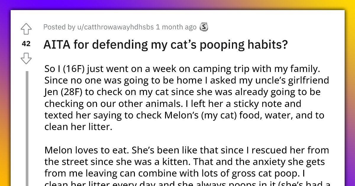 Girl Gets Called Ungrateful For Defending Her Cat's Pooping Habits After Being Told It Poops Too Much