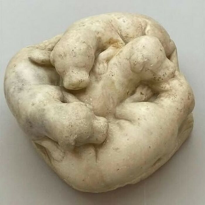 Four sleeping puppies, carved in Roman marble (1st century BCE), discovered at the House of the Faun in Pompeii - now held at the National Archaeological Museum of Naples.