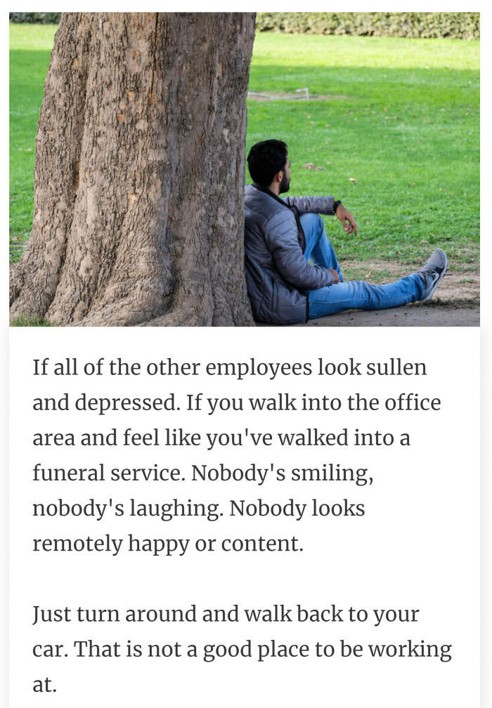 6. The environment's vibe is enough to tell if the company is warm.