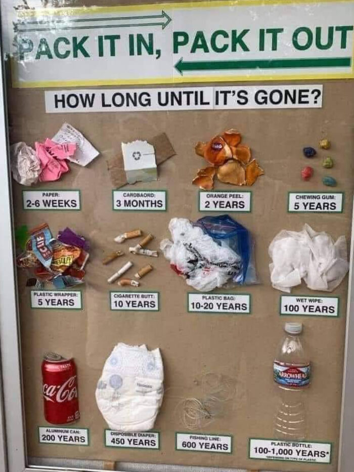 11. A Cool Guide To How Long It Takes For Things To Decompose