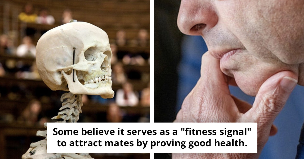 Why evolution has yet to clarify the purpose of this human body part