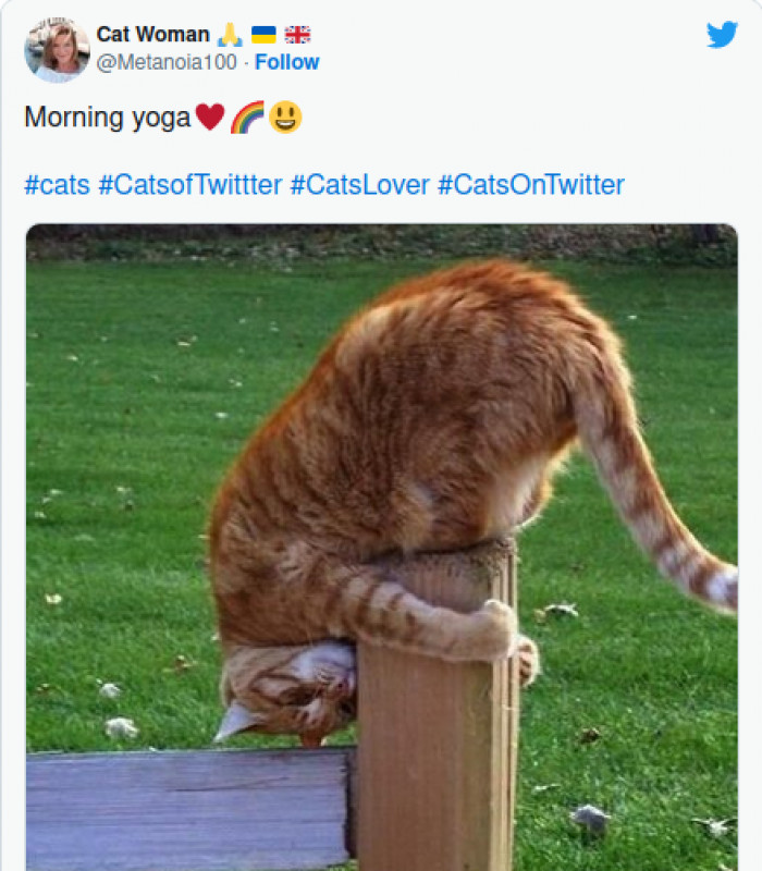 13. It's important to stretch daily.