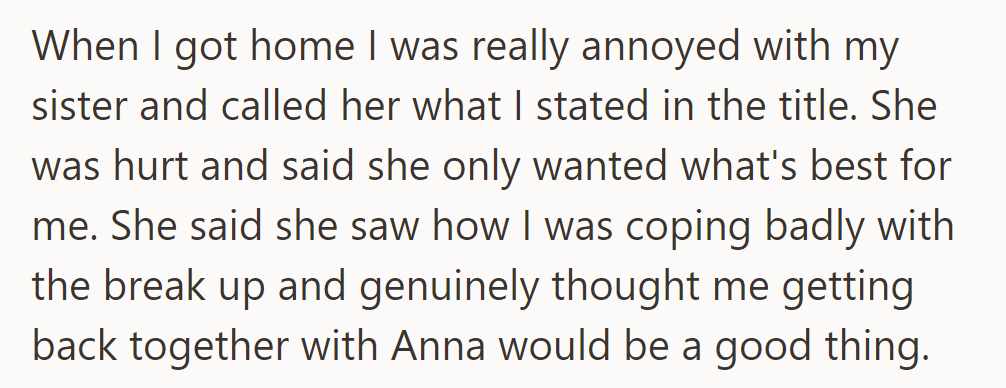 He angrily called his sister a manipulative meddler, but she just wanted to help him by reuniting him with Anna.