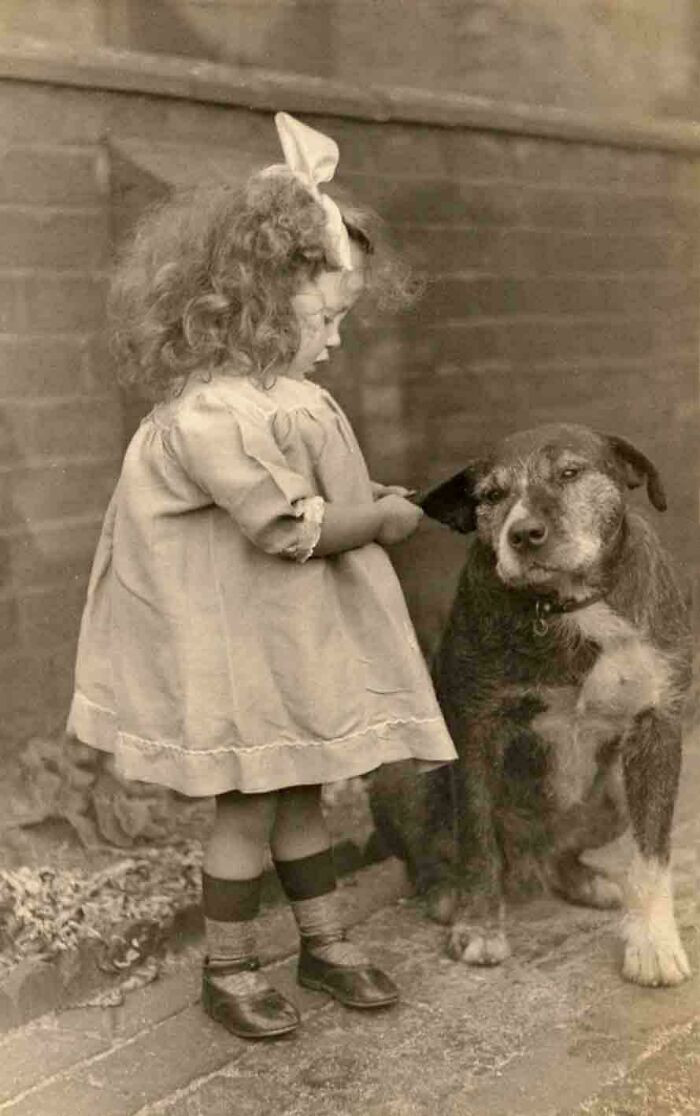 "Little Girl Poses With A Dog That Stays Still Despite The Ear Pull, Circa 1900s"
