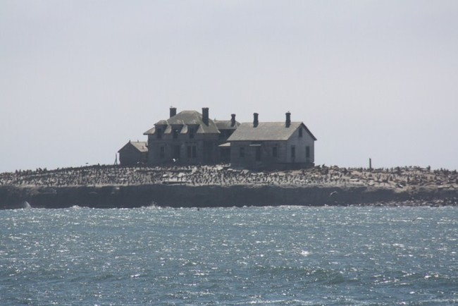 And likely because it's become a prime spot for sea lions and seabirds to breed.